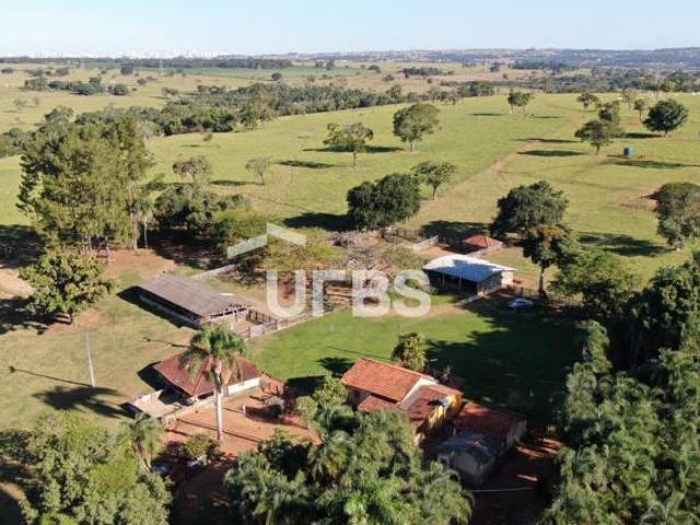 Sítio e chácara venda em Região Geográfica Imediata de Goiânia, Santo Antônio de Goiás