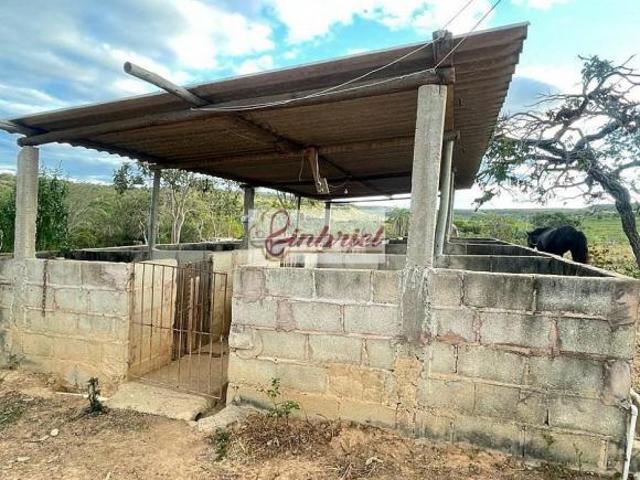 Sítio e chácara venda em Região Geográfica Imediata de Montes Claros, Grão Mogol