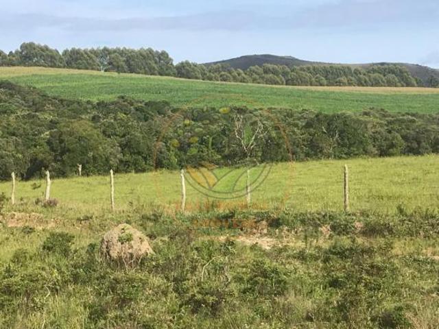Sítio e chácara venda em Região Geográfica Imediata de Caxambu - Baependi, Cruzília