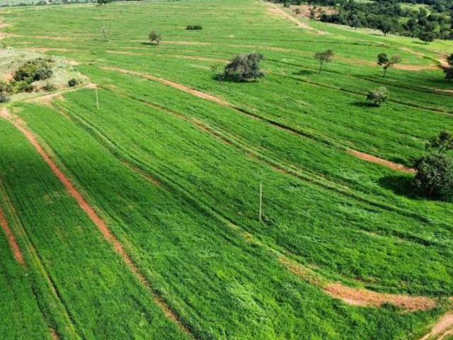 Sítio e chácara venda em Oliveira Nunes, Gurinhatã
