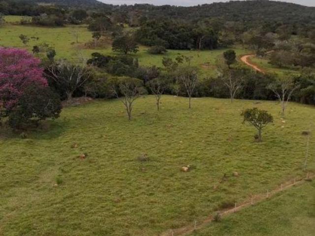 Sítio e chácara venda em Região Geográfica Imediata de Anápolis, Região Integrada de Desenvolvimento do Distrito Federal e Entorno