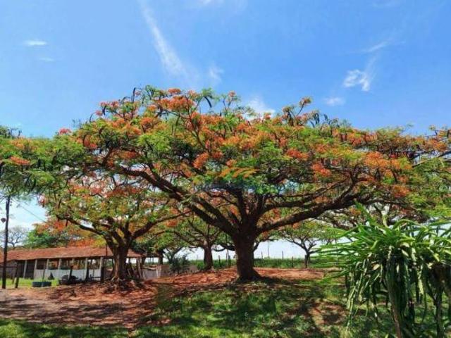Sítio e chácara venda em Região Imediata de Araraquara, Araraquara