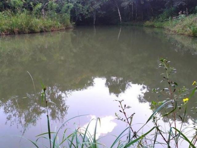 Sítio e chácara venda em Região Geográfica Imediata de Francisco Beltrão, Marmeleiro
