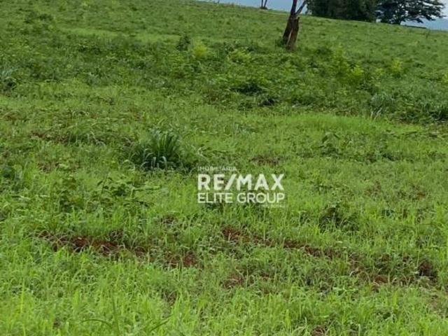 Sítio e chácara venda em Região Geográfica Imediata de Primavera do Leste, Primavera do Leste