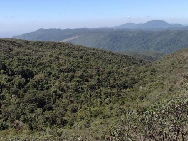 Sítio e chácara venda em Região Imediata de Cruzeiro, Região Metropolitana do Vale do Paraíba e Litoral Norte