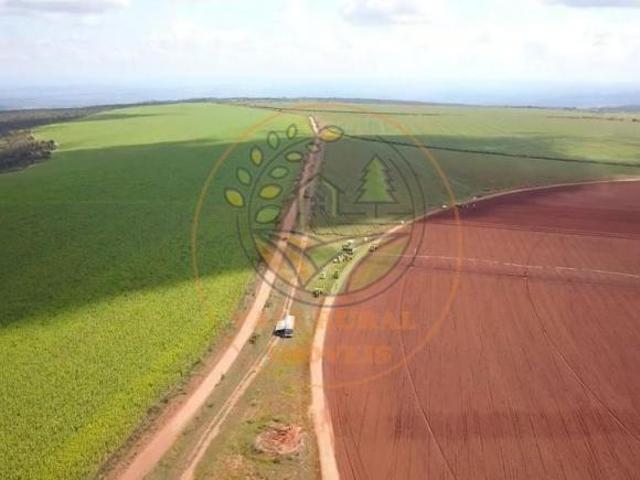 Sítio e chácara venda em Região Geográfica Imediata de Rio Verde, Rio Verde