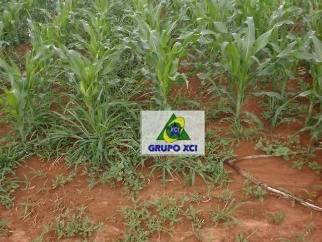 Sítio e chácara venda em Região Geográfica Imediata de Patos de Minas, São Gonçalo do Abaeté