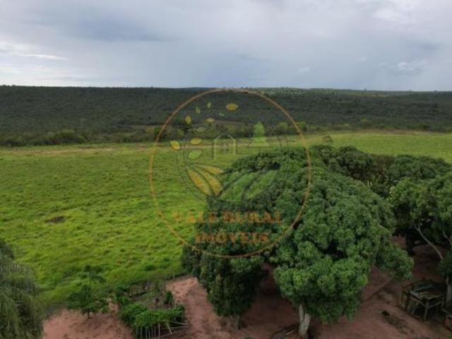 Sítio e chácara venda em Região Geográfica Imediata de Rondonópolis, Rondonópolis