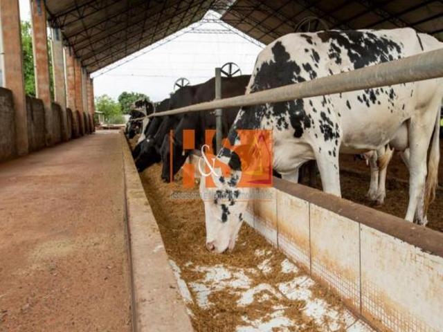 Sítio e chácara venda em Região Imediata de Presidente Prudente, Emilianópolis