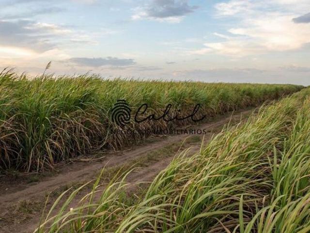 Sítio e chácara venda em Região Imediata de Araraquara, Boa Esperança do Sul