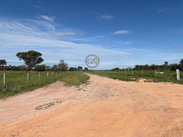 Sítio e chácara venda em Região Geográfica Imediata de São Francisco, Pintópolis