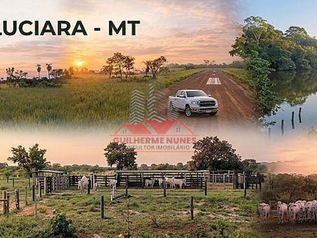 Sítio e chácara venda em Região Geográfica Imediata de Confresa - Vila Rica, Luciara