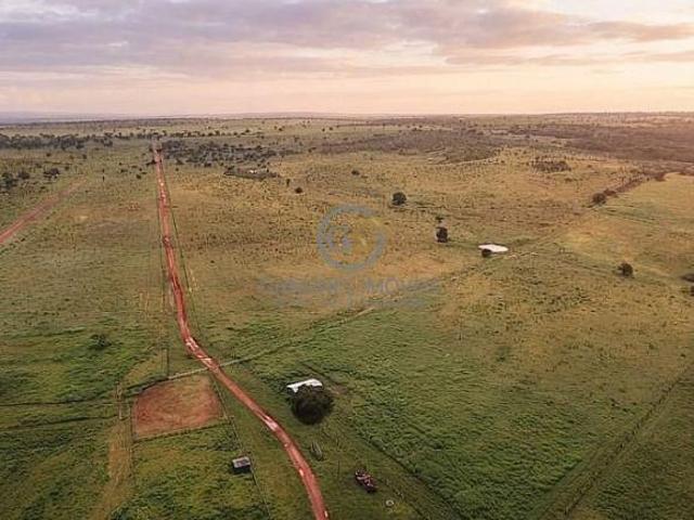 Sítio e chácara venda em Região Geográfica Imediata de Barra do Garças, Barra do Garças