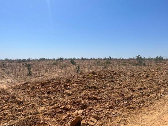 Sítio e chácara venda em Região Geográfica Imediata de Patos de Minas, João Pinheiro