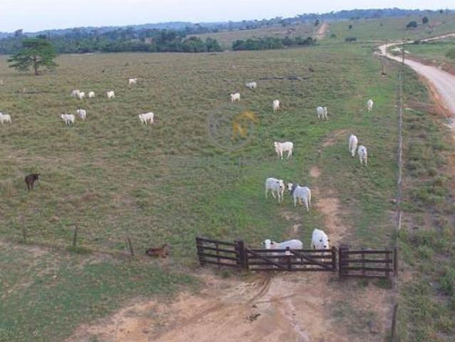 Sítio e chácara venda em Apiacás, Região Geográfica Intermediária de Sinop