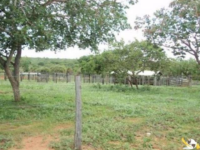 Sítio e chácara venda em Vila Lucídia, Buritizeiro