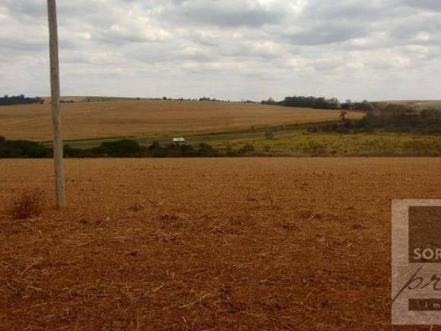 Sítio e chácara venda em Região Imediata de Sorocaba, Região Metropolitana de Sorocaba