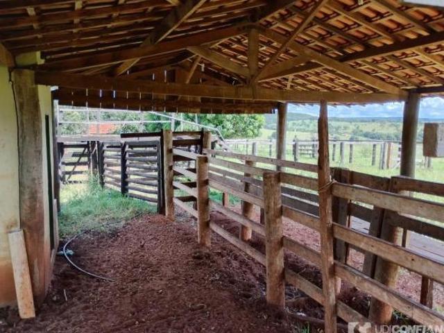 Sítio e chácara venda em Região Geográfica Imediata de Uberlândia, Campina Verde