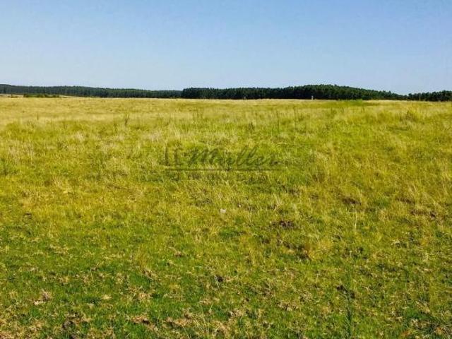 Sítio e chácara venda em Região Geográfica Imediata de Bagé, Região Sul