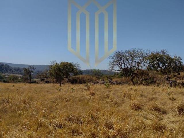 Sítio e chácara venda em Região Geográfica Imediata de Jaciara, Jaciara