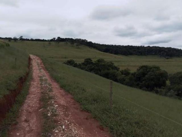 Sítio e chácara venda em Região Geográfica Imediata de São Lourenço, Dom Viçoso