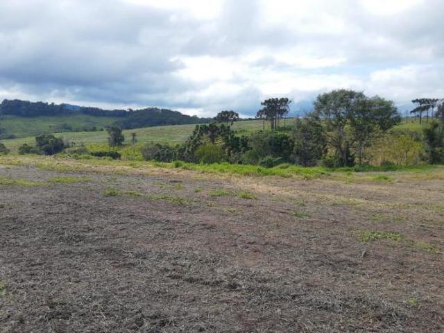 Sítio e chácara venda em Região Geográfica Imediata de Telêmaco Borba, Ortigueira