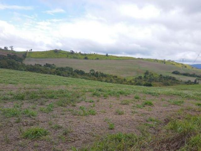 Sítio e chácara venda em Região Geográfica Imediata de Telêmaco Borba, Ortigueira