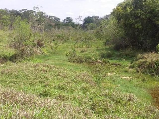 Sítio e chácara venda em Região Geográfica Imediata de Sete Lagoas, Cachoeira da Prata