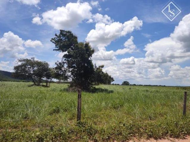 Sítio e chácara venda em Região Geográfica Imediata de Janaúba, Jaíba