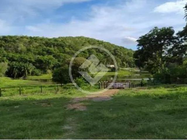 Sítio e chácara venda em Região Geográfica Imediata de Cáceres, Antônio João