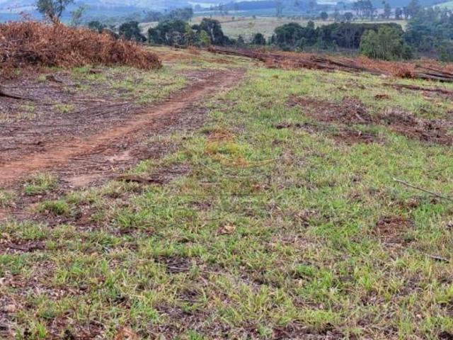 Sítio e chácara venda em Região Geográfica Imediata de Lavras, Santo Antônio do Amparo