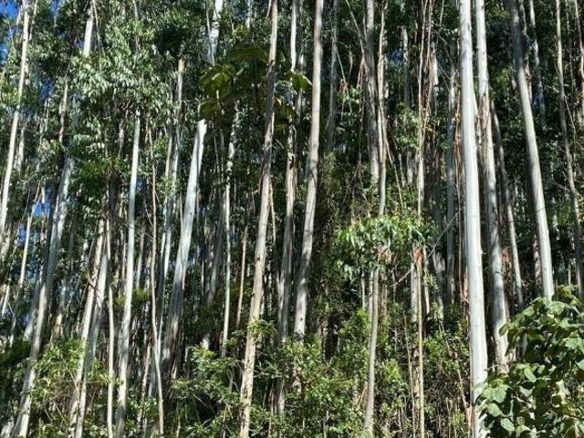 Sítio e chácara venda em Região Imediata de São José dos Campos, Região Metropolitana do Vale do Paraíba e Litoral Norte