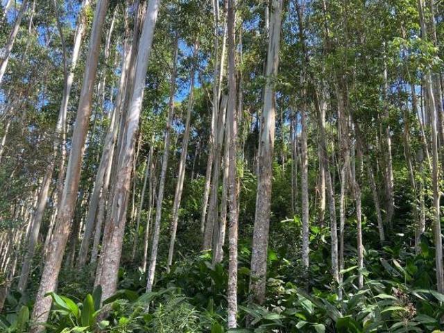 Sítio e chácara venda em Região Imediata de São José dos Campos, Região Metropolitana do Vale do Paraíba e Litoral Norte