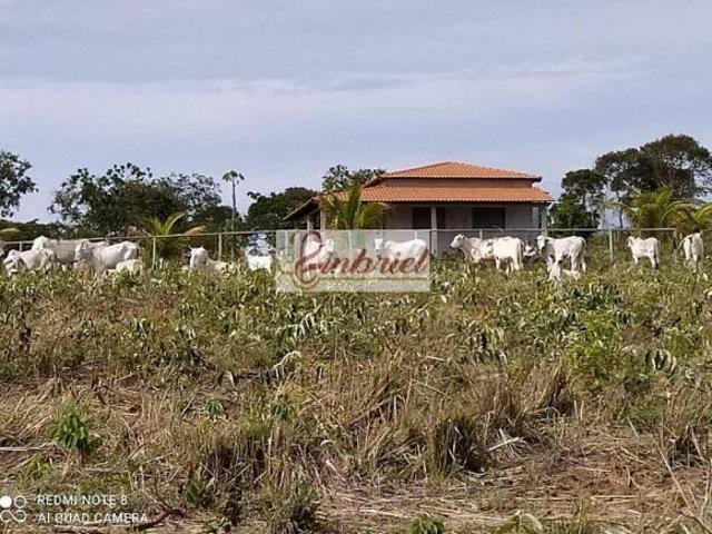 Sítio e chácara venda em Região Geográfica Imediata de Janaúba, Riacho dos Machados
