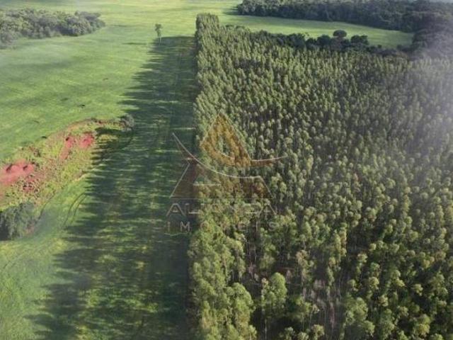 Sítio e chácara venda em Região Geográfica Imediata de Januária, Itacarambi