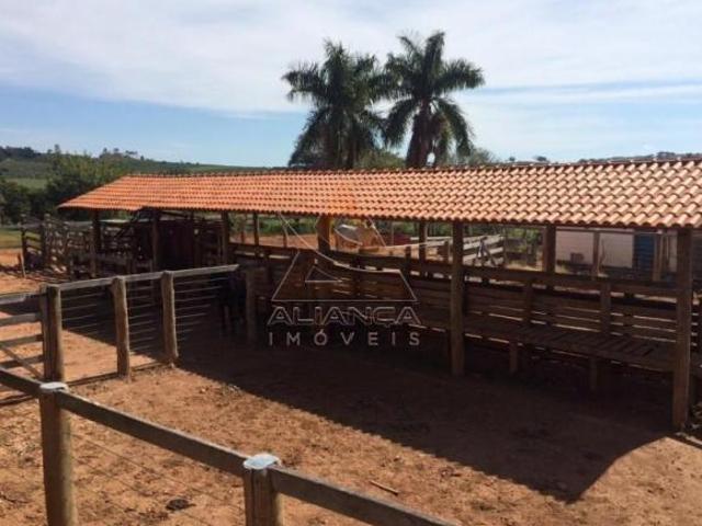 Sítio e chácara venda em Região Imediata de São José do Rio Pardo-Mococa, Tapiratiba