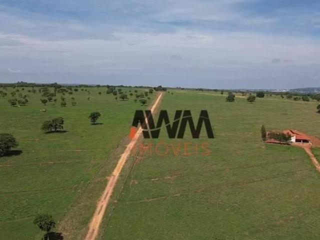 Sítio e chácara venda em Região Geográfica Imediata de Iporá, Montes Claros de Goiás