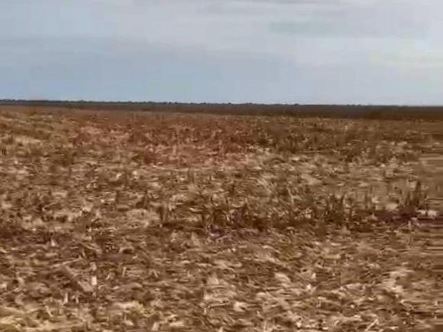 Sítio e chácara venda em Região Geográfica Imediata de Luziânia, Região Integrada de Desenvolvimento do Distrito Federal e Entorno