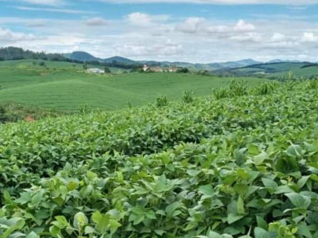 Sítio e chácara venda em Região Geográfica Imediata de São Lourenço, Carmo de Minas