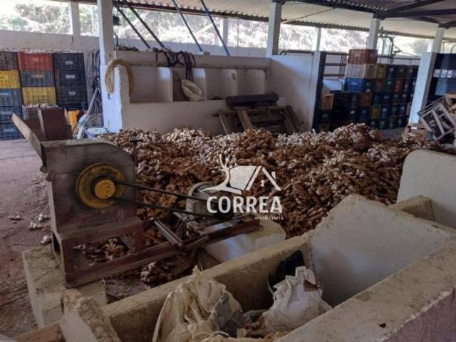 Sítio e chácara venda em Região Imediata de Sorocaba, Região Metropolitana de Sorocaba