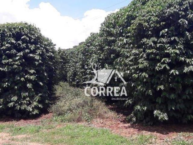 Sítio e chácara venda em Região Imediata de Franca, Juranda