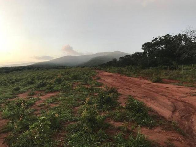 Sítio e chácara venda em Centro, Engenheiro Navarro
