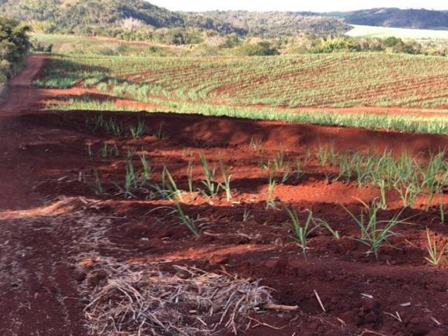 Sítio e chácara venda em Região Imediata de São Carlos, São Carlos