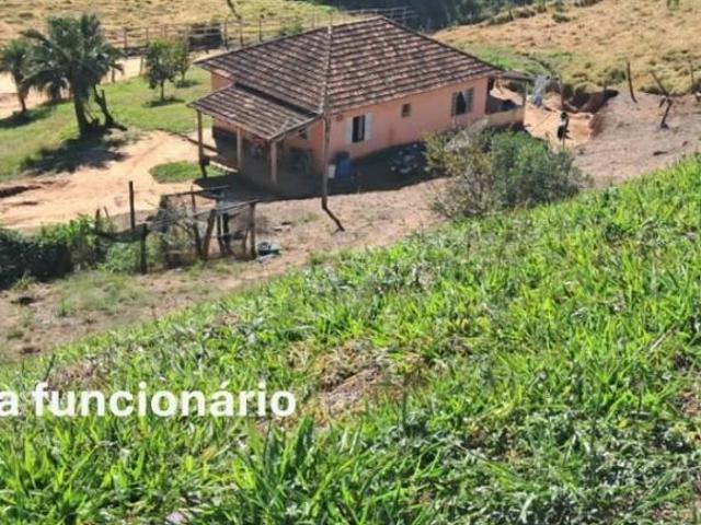 Sítio e chácara venda em Região Geográfica Imediata de São Lourenço, Jesuânia