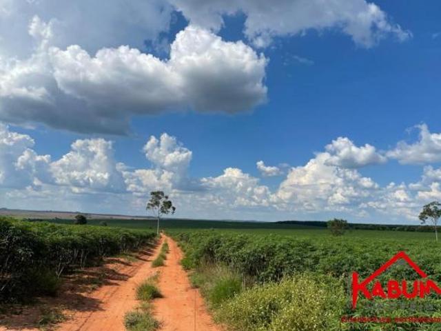 Sítio e chácara venda em Região Imediata de Marília, Marília