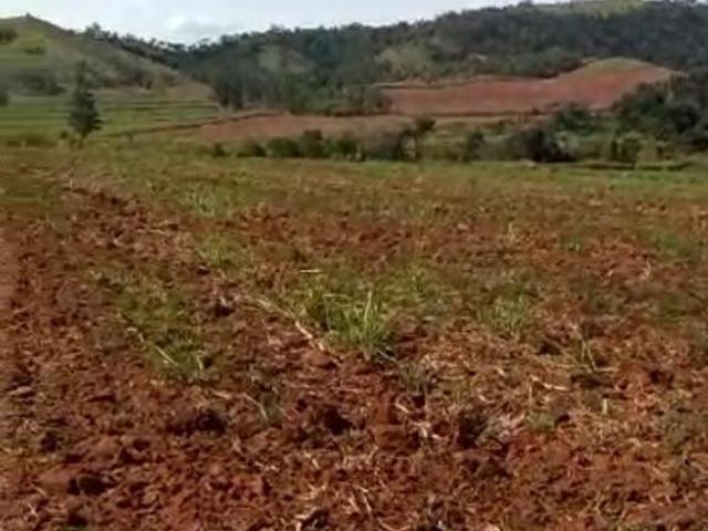 Sítio e chácara venda em Região Imediata de Mogi Guaçu, Itapira