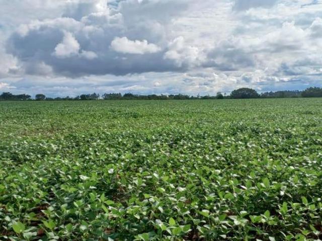 Sítio e chácara venda em Região Geográfica Imediata do Distrito Federal, Região Integrada de Desenvolvimento do Distrito Federal e Entorno