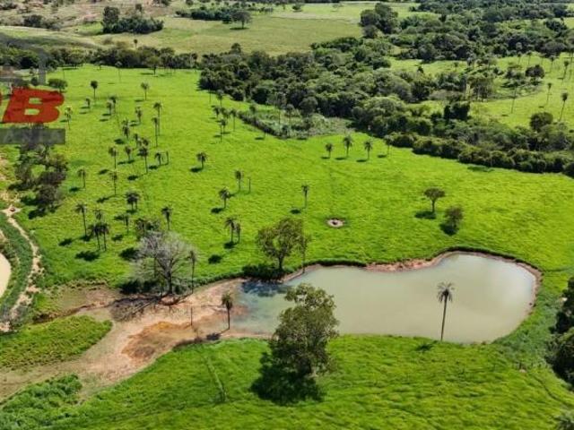 Sítio e chácara venda em Região Geográfica Imediata de Águas Lindas de Goiás, Região Integrada de Desenvolvimento do Distrito Federal e Entorno
