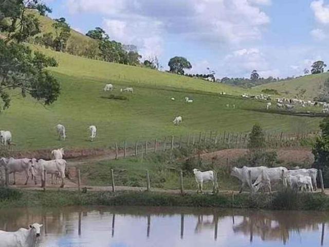Sítio e chácara venda em Região Geográfica Imediata de Pouso Alegre, Cambuí