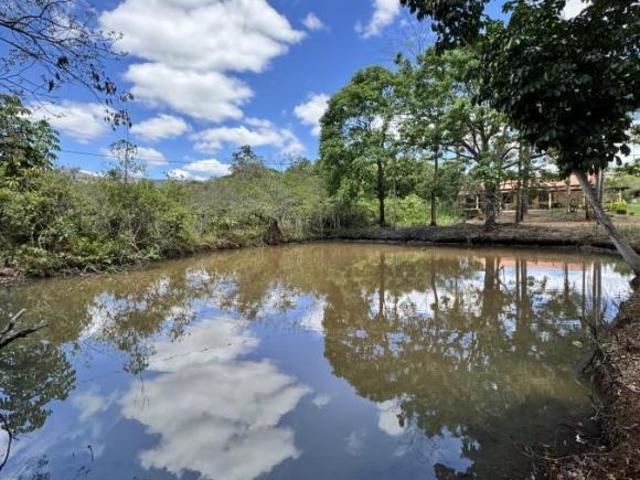 Sítio e chácara venda em Região Geográfica Imediata de Belo Horizonte, Região Metropolitana de Belo Horizonte